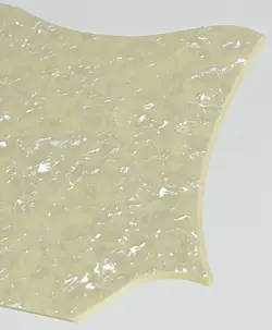 SG BLANK