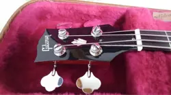 MODEL ELECTRIC BASS