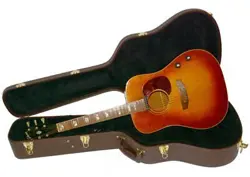 HARD CASE NO.RG2524