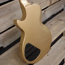 LES PAUL 