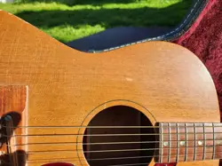 SPRUCE TOP GUITAR