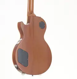 PAUL 2010 ELECTRIC