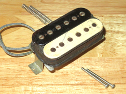 1979 ZEBRA