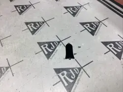 90’S GIBSON LES PAUL BELL TRUSS ROD COVER