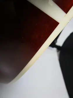 HUMMINGBIRD ARTIST