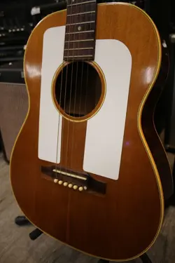 GIBSON F-25