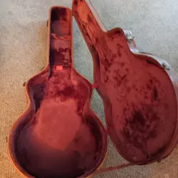 HOLLOWBODY GUITAR W/