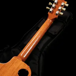 HUMBUCKER NATURAL ELECTRIC