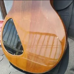 GIBSON THE PAUL