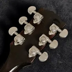 PRO SEMI-HOLLOW