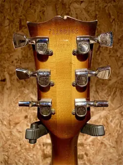 DELUXE 1978 ELECTRIC