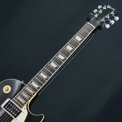 2H HUMBUCKER ELECTRIC