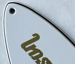 COVER GOLD LOGO