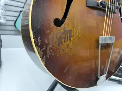 ACOUSTIC L-48