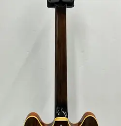 VINTAGE SEMI-HOLLOW BODY