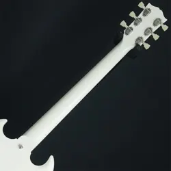 POLAR WHITE