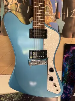 ROSEWOOD FRETBOARD GUITAR