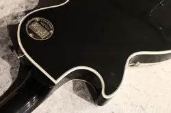 CUSTOM 3PICKUP EBONY