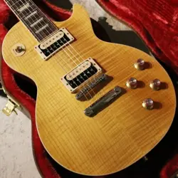 GIBSON: SLASH LP STD APPETITE BURSTSATISFY YOUR APPETITE FOR DESTRUCTION