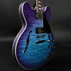 BLUEBERRY BURST UMEDA