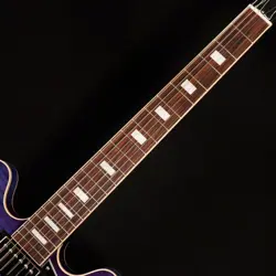 BLUEBERRY BURST 222040257