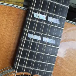 STRING ACOUSTIC ELECTRIC