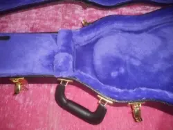 ALLIGATOR/PURPLE