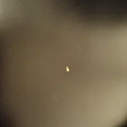GIBSON SEMI-ACO