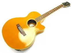 ACOUSTIC-ELECTRIC GUITAR RARE