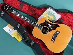 NT 1970S ACOUSTIC