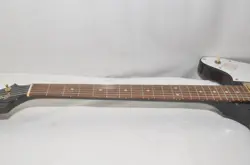 BIRD ELECTRIC