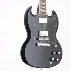 2016 EBONY ELECTRIC