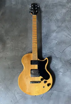 L6-S CUSTOM NO.DG1670