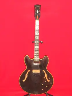 1973 BROWN ES