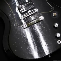 GIBSON SG STANDARD TRACKING NUMBER