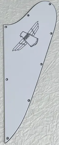 NEW GREAT-FOR GIBSON THUNDERBIRD 