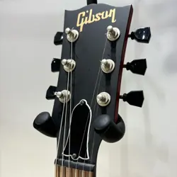LPJ 2013 ELECTRIC