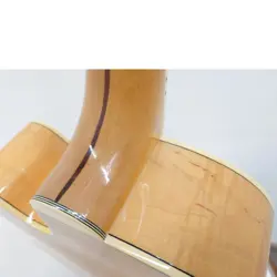 BY ENTERING GIBSON