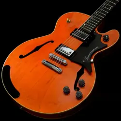 USED GIBSON USA / CHET ATKINS TENNESSEAN STORE MANAGER'S CAREFULLY SELECTED ITEM