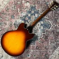 HOLLOWBODY ELECTRIC GUITAR!