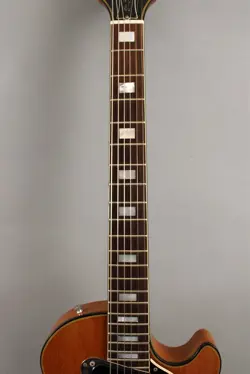 PAUL RECORDING GUITAR