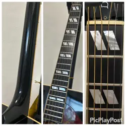 77 GIBSON DOVE