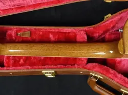 PAUL '70S DELUXE