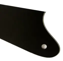 SCREW HOLES GUITAR