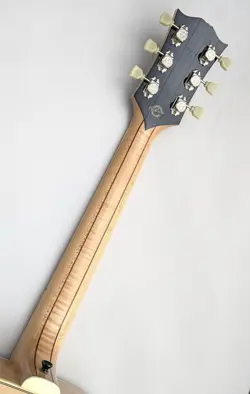 USED SJ-200