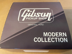 GIBSON ACCESSORIES DIRTY