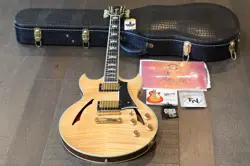 SIGNATURE SEMI-HOLLOW GUITAR