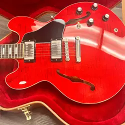FIGURED SEMI-HOLLOWBODY ELECTRIC