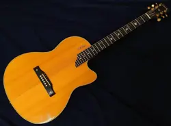 GIBSON CHET ATKINS SIGNATURE MODEL '93　JPN