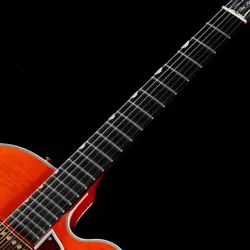 BIGSBY W/HSC
